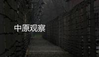 中原觀察 