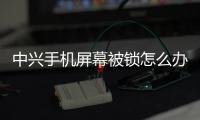 中興手機屏幕被鎖怎么辦？刷機工具官方下載