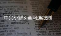 中興小鮮3 全網(wǎng)通線刷ROM刷機(jī)包