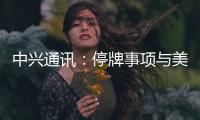 中興通訊：停牌事項與美國法院召開的關于緩刑期撤銷的聽證會有關