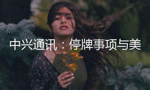 中興通訊：停牌事項與美國法院召開的關于緩刑期撤銷的聽證會有關