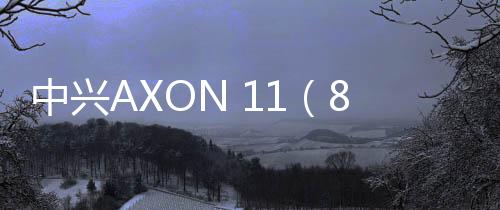 中興AXON 11（8GB/256GB/全網(wǎng)通/5G）忘了手機密碼怎么辦？手機怎么解鎖？