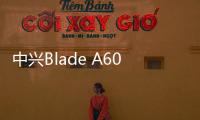 中興Blade A601（全網通）手機密碼忘了怎么破？
