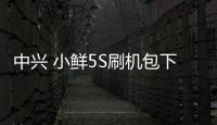 中興 小鮮5S刷機包下載，卡刷包recovery刷機教程