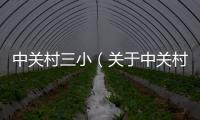 中關村三小（關于中關村三小的基本情況說明介紹）