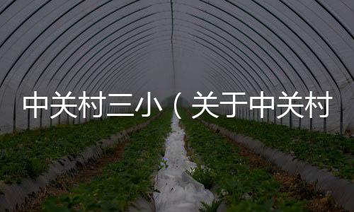 中關村三小（關于中關村三小的基本情況說明介紹）
