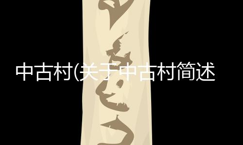 中古村(關(guān)于中古村簡述)