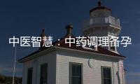 中醫(yī)智慧：中藥調(diào)理備孕的綜合策略