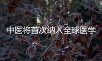 中醫(yī)將首次納入全球醫(yī)學綱要，2022年世衛(wèi)成員實施