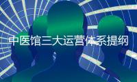 中醫館三大運營體系提綱