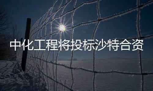 中化工程將投標沙特合資聚甲醛廠項目