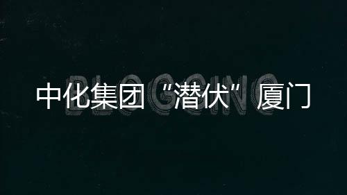 中化集團(tuán)“潛伏”廈門
