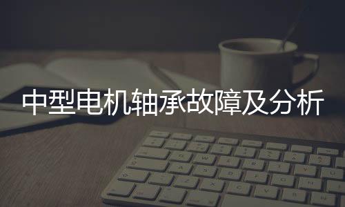 中型電機軸承故障及分析