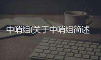 中哨組(關(guān)于中哨組簡述)