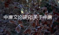中唐文論研究(關于中唐文論研究簡述)