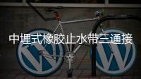 中埋式橡膠止水帶三通接頭