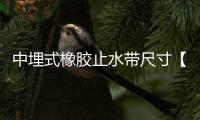 中埋式橡膠止水帶尺寸【標(biāo)準(zhǔn)】