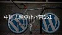 中埋式橡膠止水帶651型652型653型