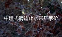 中埋式鋼邊止水帶廠家價格一覽表