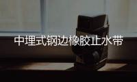 中埋式鋼邊橡膠止水帶