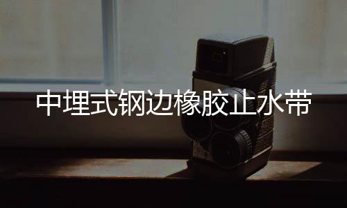 中埋式鋼邊橡膠止水帶