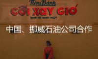 中國、挪威石油公司合作開發巴西等地油氣資源