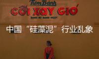 中國“硅藻泥”行業亂象!