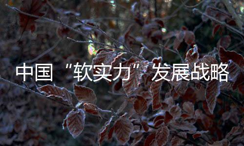 中國“軟實力”發展戰略研究(關于中國“軟實力”發展戰略研究簡述)