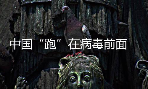 中國“跑”在病毒前面  流行病傳播只需36小時