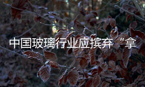 中國玻璃行業應擯棄“拿來主義”潛規則