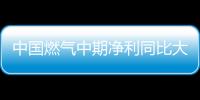 中國燃氣中期凈利同比大增110%