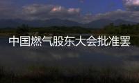 中國燃氣股東大會批準罷免三董事