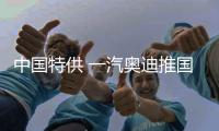 中國特供 一汽奧迪推國產Q2電動SUV