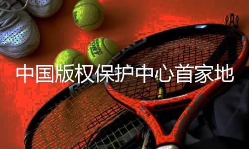 中國版權(quán)保護(hù)中心首家地方分中心落戶海南三亞