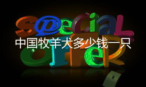 中國牧羊犬多少錢一只