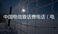 中國(guó)電信查話費(fèi)電話（電信查話費(fèi)電話）