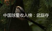 中國球星收入榜：武磊奪冠！