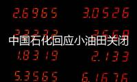 中國石化回應小油田關閉：僅占勝利油田年產量0.2%