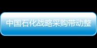 中國石化戰略采購帶動整個供應鏈