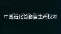 中國石化首套自主產權燃料電池級氫氣試驗裝置開工成功