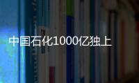 中國石化1000億獨上高樓 中國石油報喜30%