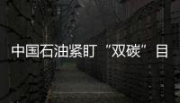 中國石油緊盯“雙碳”目標發力