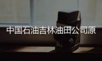 中國石油吉林油田公司原副總經理、安全總監尹旭被查
