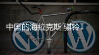 中國的海拉克斯 騏鈴T7滿足多樣需求