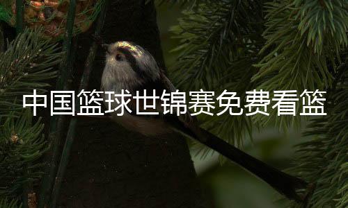 中國(guó)籃球世錦賽免費(fèi)看籃球軟件籃球訓(xùn)練計(jì)劃方案