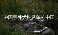 中國禁養犬種名單（中國禁養犬種）