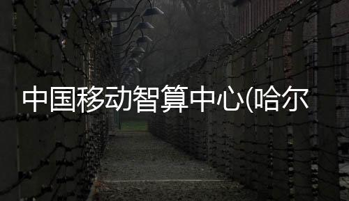 中國移動智算中心(哈爾濱)成為最大單集群智算中心