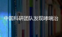 中國科研團隊發(fā)現哮喘治療新靶標