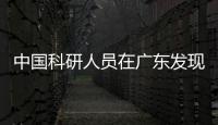 中國科研人員在廣東發(fā)現(xiàn)新物種“蓮峰角蟾”