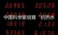 中國科學家培育“抗熱水稻”應對全球氣候變暖—新聞—科學網